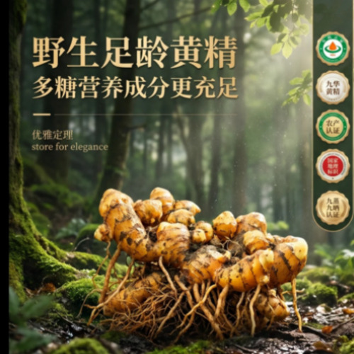 AI视觉创作与品牌内容案例